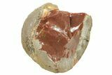 Ethiopian Chocolate Opal Nodule - Yita Ridge #211269-1